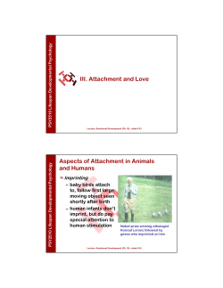 III. Attachment and Love Aspects of Attachment in Animals and
