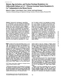 Meiosis, Egg Activation, and Nuclear Envelope Breakdown Are