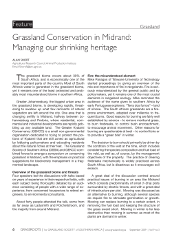 Grassland Conservation in Midrand: Managing our shrinking heritage