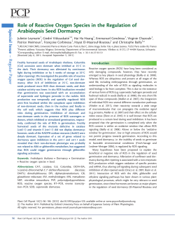 Role of Reactive Oxygen Species in the Regulation of Arabidopsis