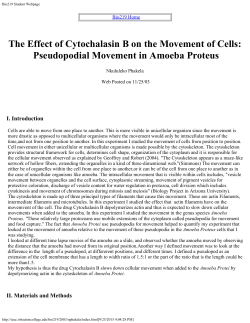 Independent Research Project Report