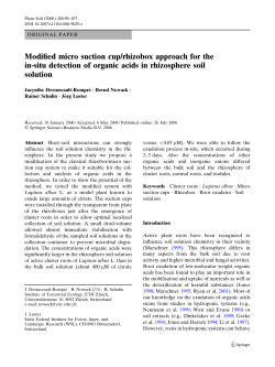 Modified micro suction cup/rhizobox approach for the in