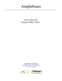 Amphibians - Net Texts