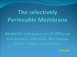 Model the cell processes of diffusion and osmosis