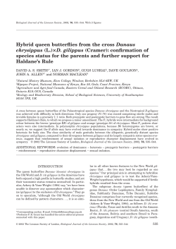 PDF 610.09KB - University of Sussex