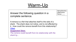 Symbiosis - stephen fleenor