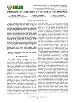 Photosynthesis Components in Vitro and Ex vitro Date Palm