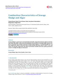Combustion Characteristics of Sewage Sludge and Algae