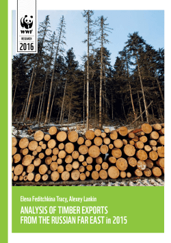 AnALysis oF TimbEr ExporTs From ThE russiAn FAr EAsT in 2015