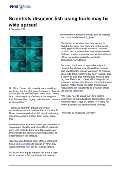 Scientists discover fish using tools may be wide spread