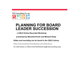 Planning for Board Leader Succession