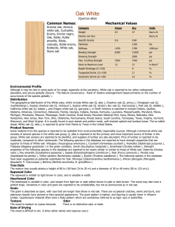 Oak White - Edensaw Woods