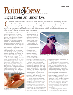 Light from an Inner Eye - McPherson Eye Research Institute