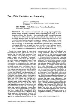 Tale of tails: Parallelism and prehensility