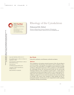 Rheology of the Cytoskeleton - Molecular Cell Biomechanics