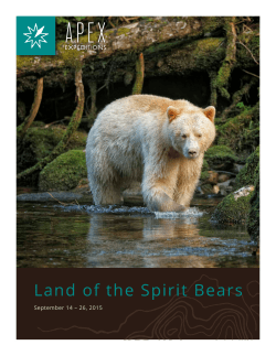 Spirit Bears Canada travel brochure with
