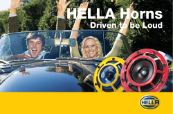 HELLA Horns