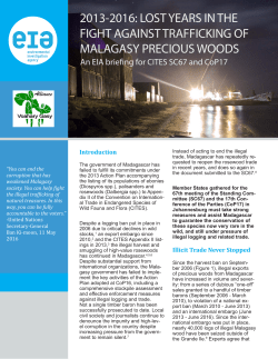 2013-2016: lost years in the fight against trafficking of malagasy