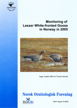 Monitoring of Lesser White-fronted Goose in Norway in 2005