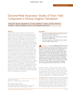 Genome-Wide Association Studies of Grain Yield Components in