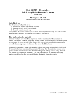 Ecol 483/583 &ndash; Herpetology Lab 3: Amphibian Diversity 2: Anura