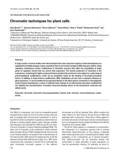 Chromatin techniques for plant cells