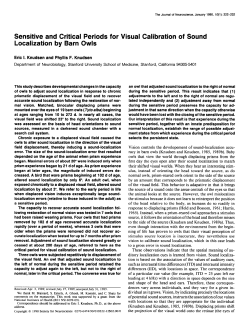 Sensitive and Critical Periods for Visual Calibration of Sound