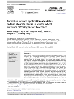 Potassium nitrate application alleviates sodium chloride stress in