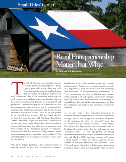 Rural Entrepreneurship Matters, but Why?