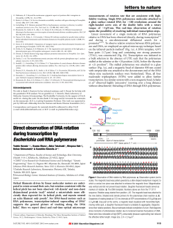 Direct observation of DNA rotation during transcription by