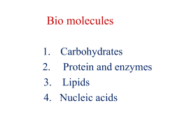 carbohydrate 1