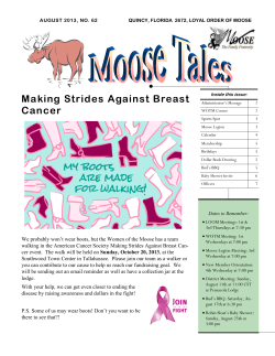 Making Strides Against Breast Cancer