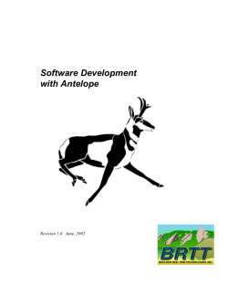 Antelope Software Development