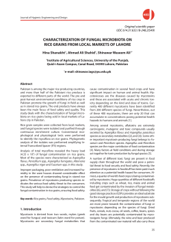 CHARACTERIZATION OF FUNGAL MICROBIOTA ON RICE