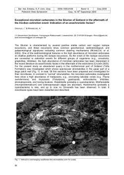 Paleozoic Seas 290809new