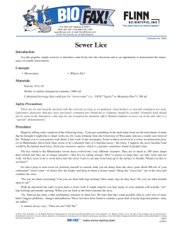 Sewer Lice