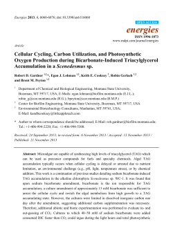 Cellular Cycling, Carbon Utilization, and Photosynthetic Oxygen
