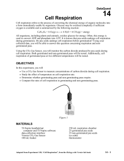 Student Activity PDF