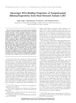 Messenger RNA-Binding Properties of