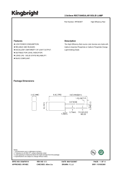 2.5x5mm RECTANGULAR SOLID LAMP Features Description