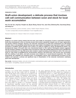 changes in DNA Graft-union development: a delicate process that