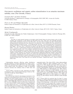 Oxic/anoxic oscillations and organic carbon mineralization in an