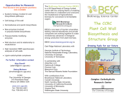 The Plant Cell Wall Biosynthesis and Structure Group CCRC