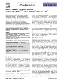 Development of human locomotion - ART