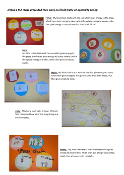 Helen`s 2/3 class presented their work on biodiversity at assembly