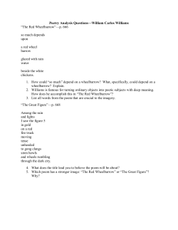 Poetry Analysis Questions&mdash;William Carlos Williams &ldquo;The Red
