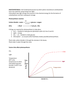 PHOTOSYNTHESIS is the fundamental process by which plants
