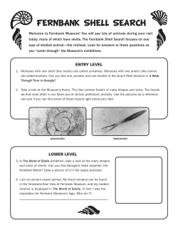 fernbank shell search