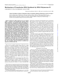 Mechanism of Translesion DNA Synthesis by DNA Polymerase II