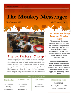 NSE Monkey October 2016 Newsletter